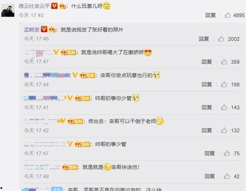 娱乐吃瓜酱评论区